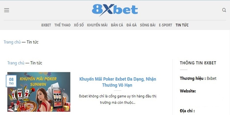 Những thông trong chuyên mục tin tức 8XBET 