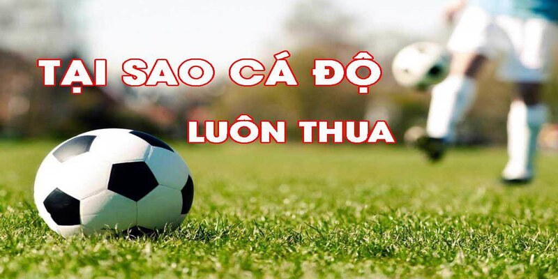 Hệ lụy chung của việc cá độ bóng đá luôn thua